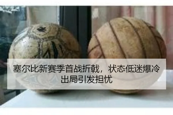 sai-er-bi-xin-sai-ji-shou-zhan-zhe-ji-zhuang-tai-di-mi-bao-leng-chu-ju-yin-fa-dan-you-2-138.jpg