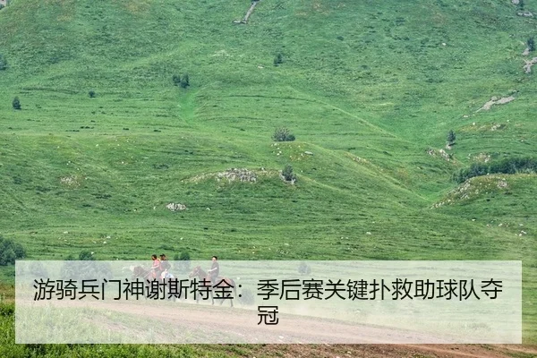 游骑兵门神谢斯特金：季后赛关键扑救助球队夺冠